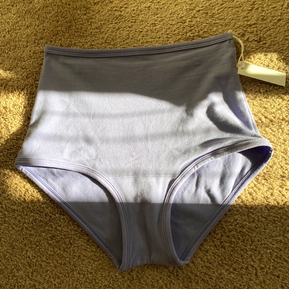ARQ NWT Medium High Waisted Underwear; Periwinkle